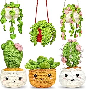kit crochet cactus